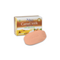 Camel Milk Soap - Shea Butter